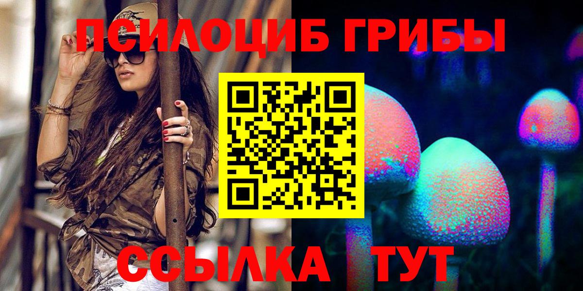 Галлюциногенные грибы Psilocybe Армавир