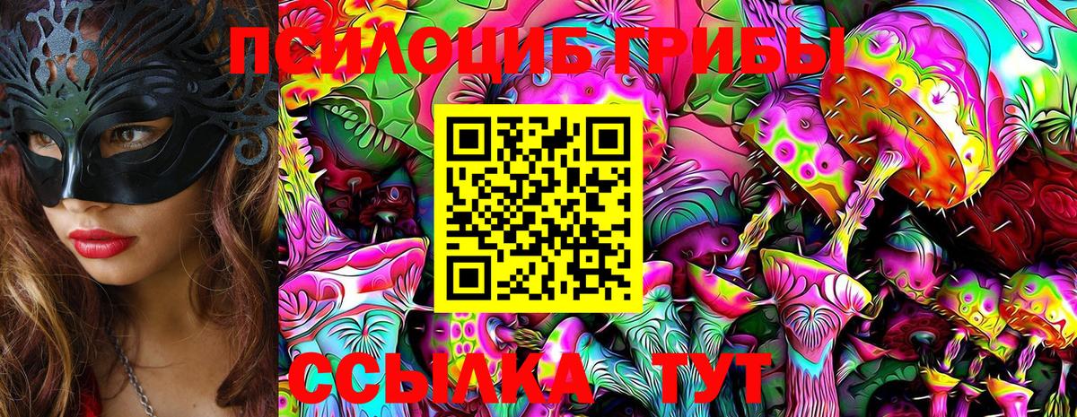 Армавир  Псилоцибиновые грибы мухоморы  Вход с VPN 